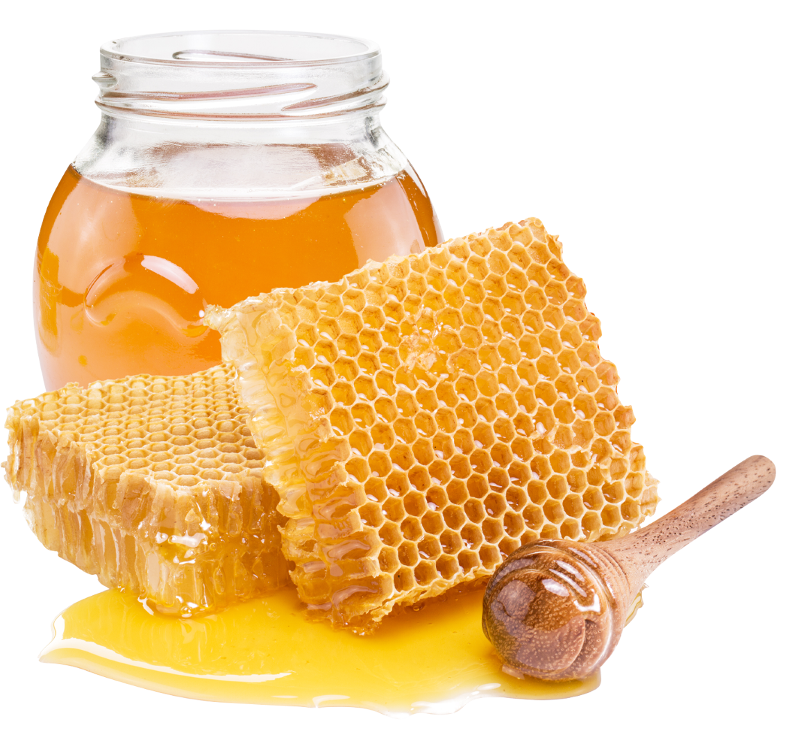 عسل/Honey